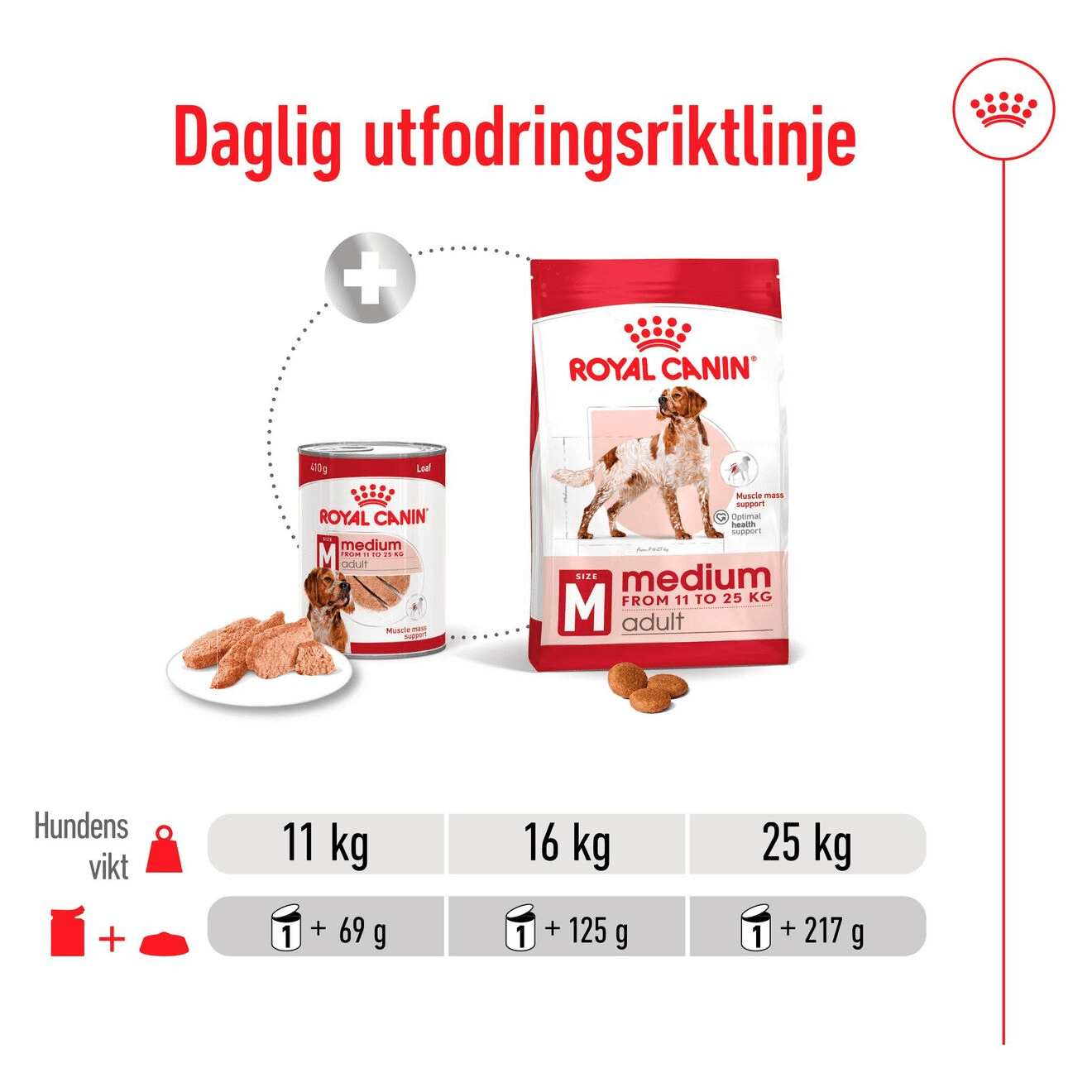 Royal Canin Medium Adult Loaf Can - Handla på Gaston