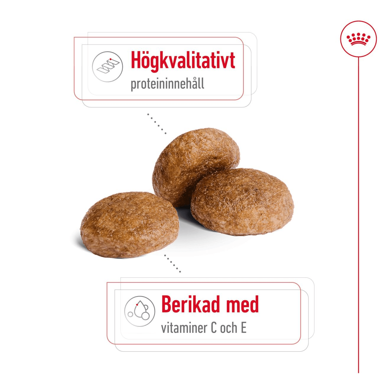 Royal Canin Medium Adult 7+ - Handla på Gaston