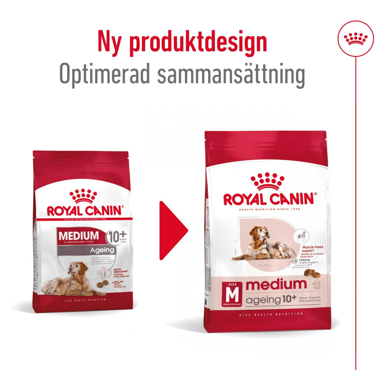 Royal Canin Medium Ageing 10+ - Handla på Gaston