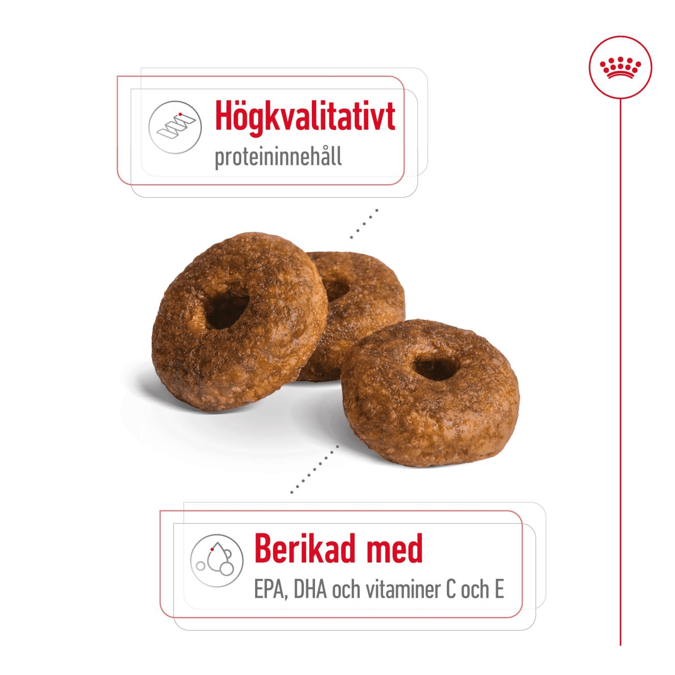 Royal Canin Medium Ageing 10+ - Handla på Gaston
