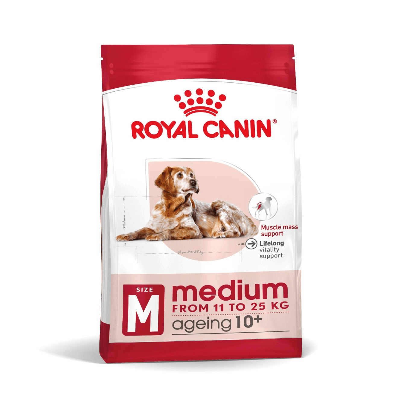 Royal Canin Medium Ageing 10+ - Handla på Gaston