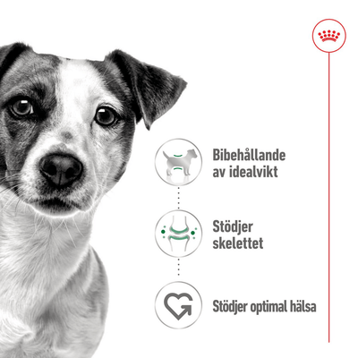 Royal Canin Mini Adult Loaf Can - Handla på Gaston