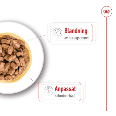 Royal Canin Mini Ageing Gravy - Handla på Gaston