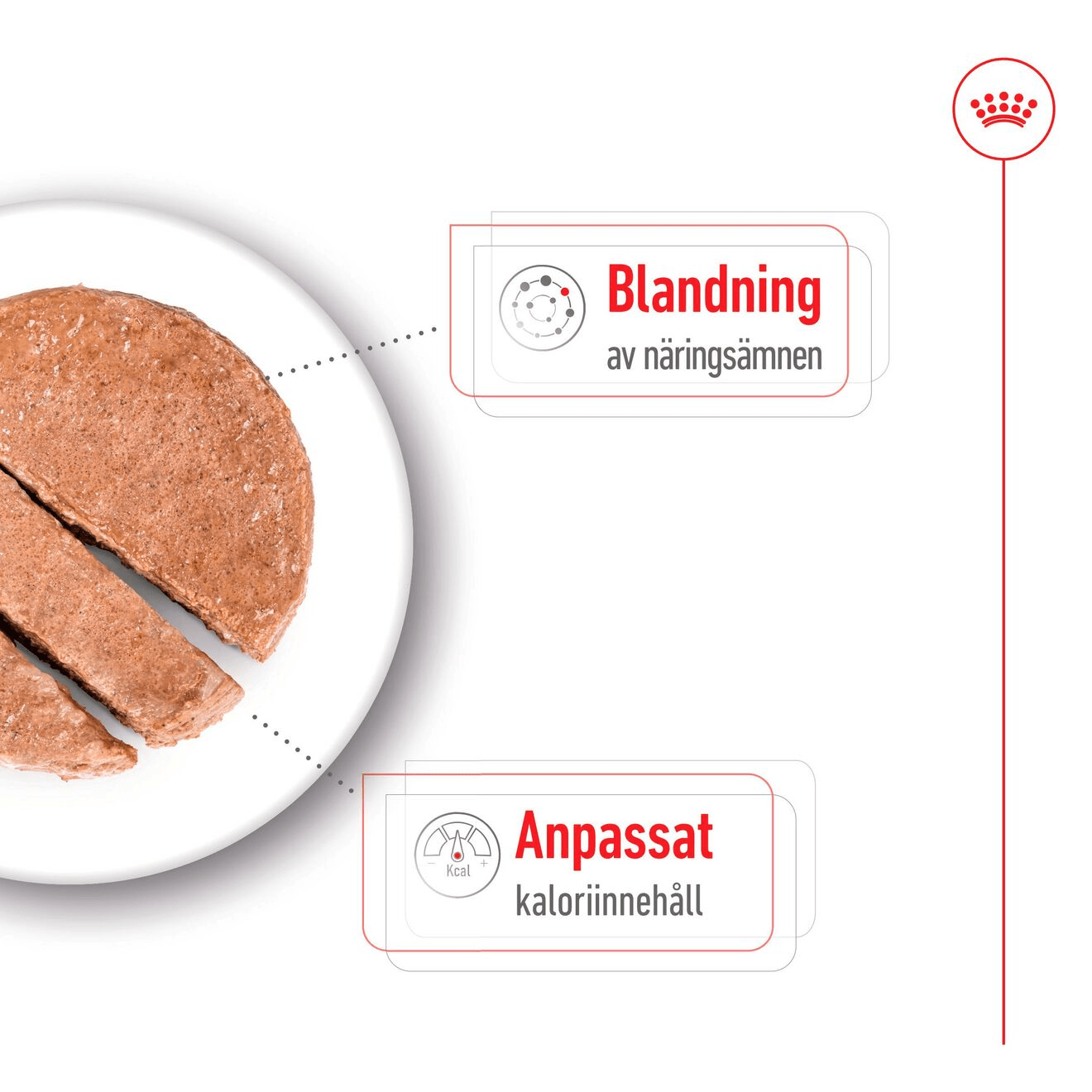 Royal Canin Mini Ageing Loaf Can - Handla på Gaston
