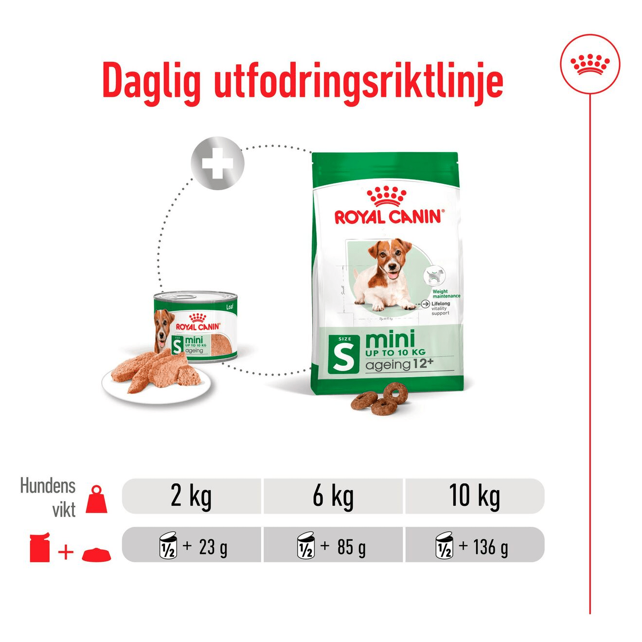 Royal Canin Mini Ageing Loaf Can - Handla på Gaston