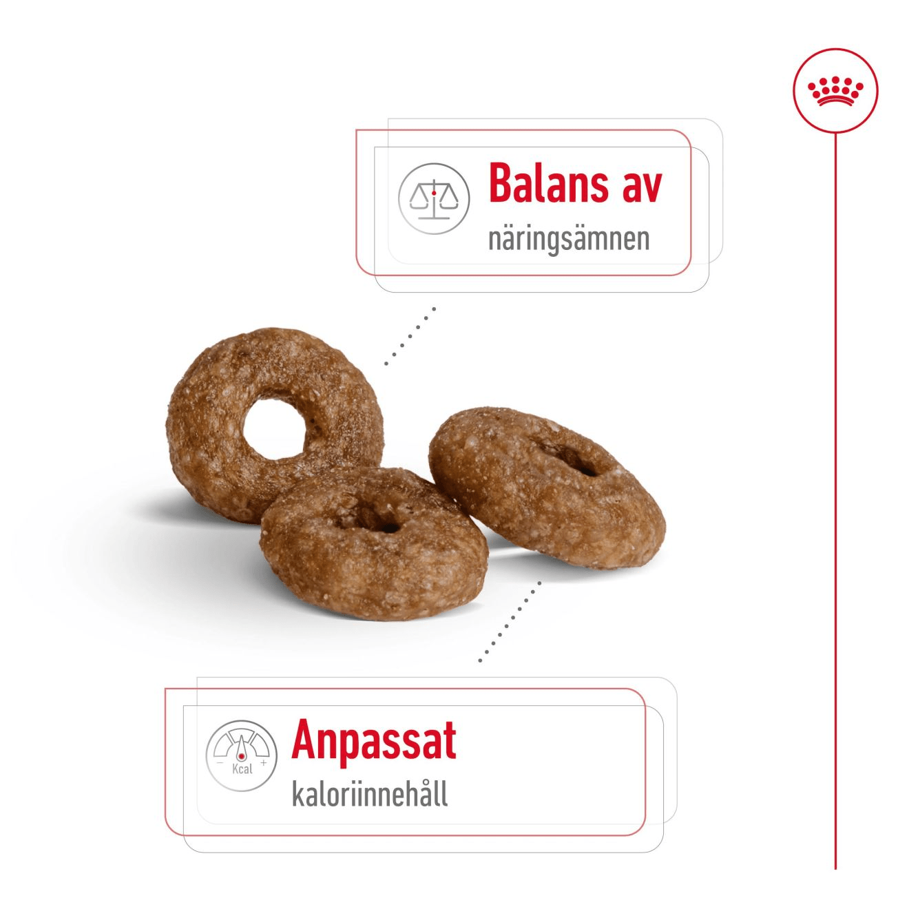 Royal Canin Mini Ageing 12+ - Handla på Gaston