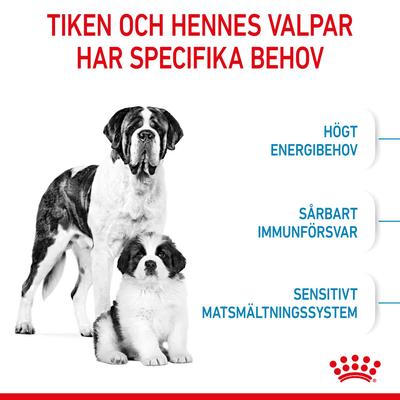 Royal Canin Giant Starter Mother & Babydog - Handla på Gaston