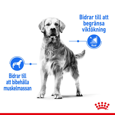Royal Canin Light Weight Care Maxi - Handla på Gaston