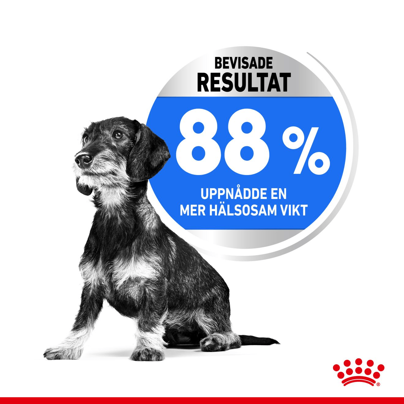 Royal Canin Light Weight Care Mini - Handla på Gaston
