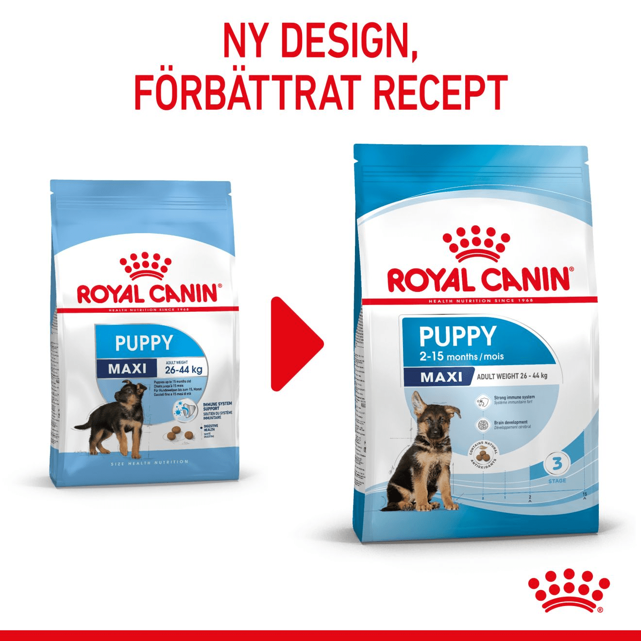 Royal Canin Maxi Puppy - Handla på Gaston