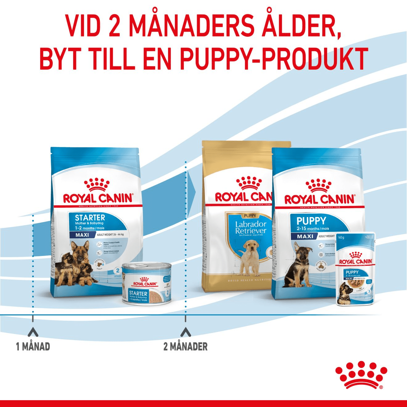 Royal Canin Maxi Starter Mother & Babydog - Handla på Gaston