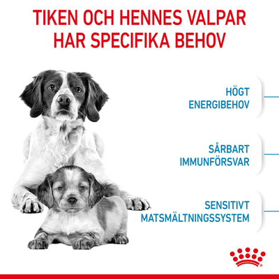 Royal Canin Medium Starter Mother & Babydog - Handla på Gaston