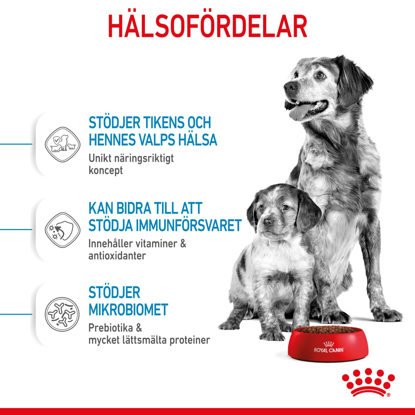 Royal Canin Medium Starter Mother & Babydog - Handla på Gaston