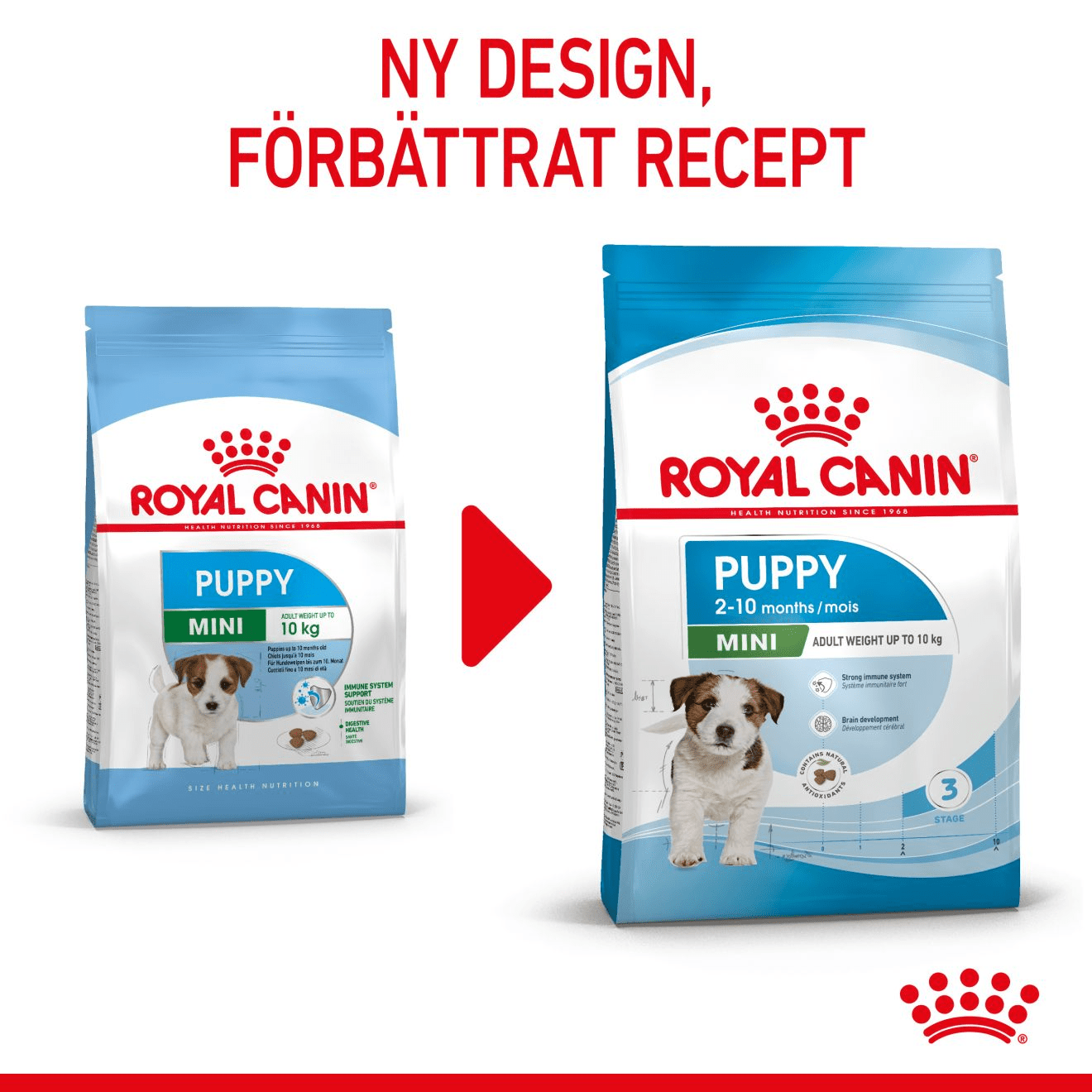 Royal Canin Mini Puppy - Handla på Gaston