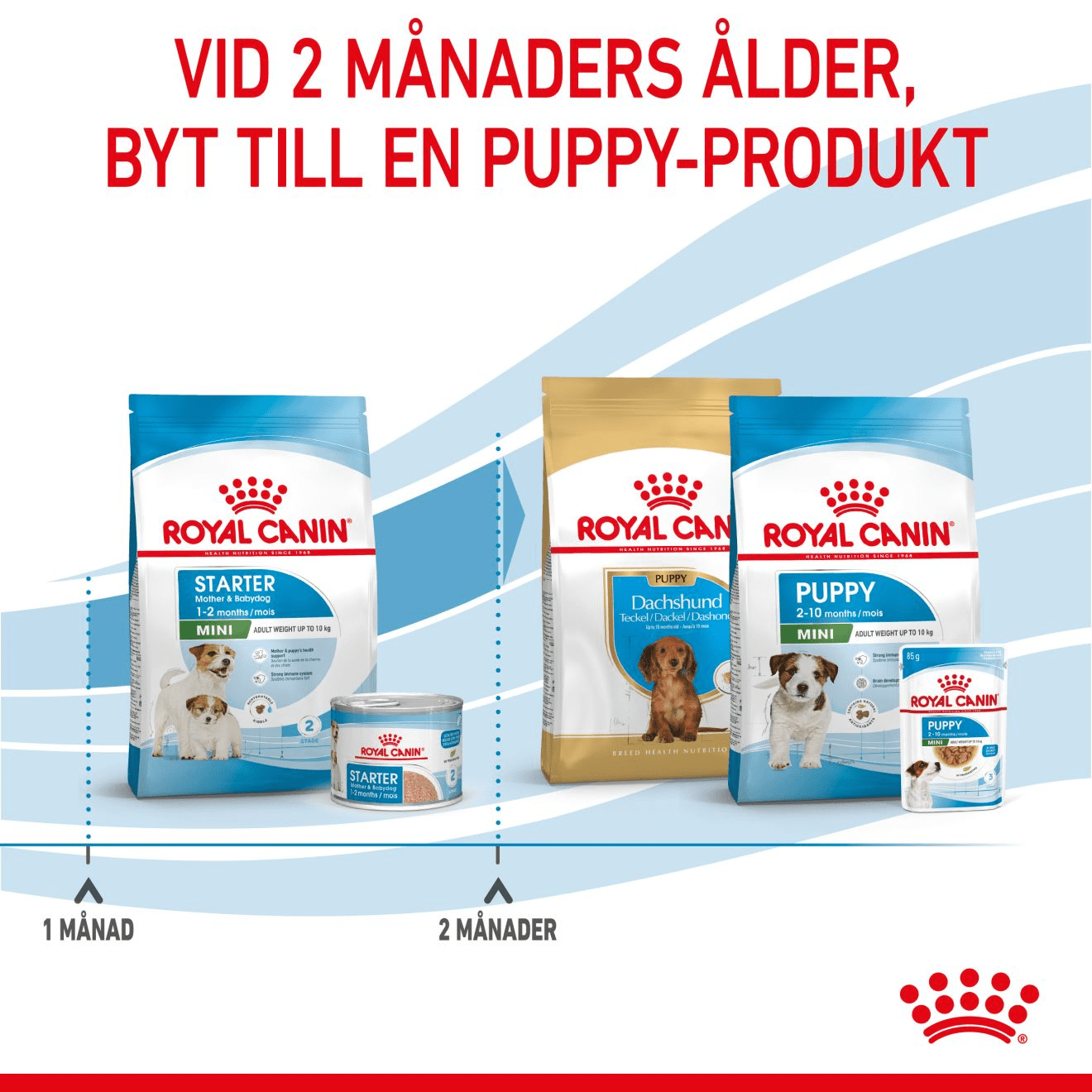 Royal Canin Mini Starter Mother & Babydog - Handla på Gaston