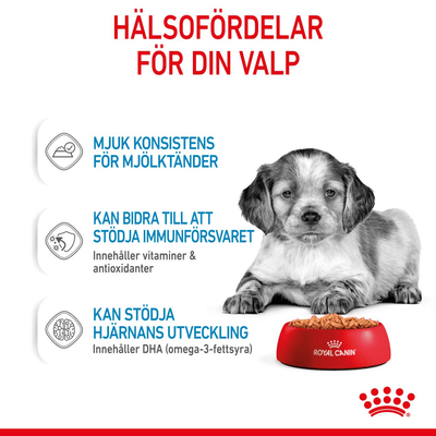Royal Canin Medium Puppy Gravy - Handla på Gaston