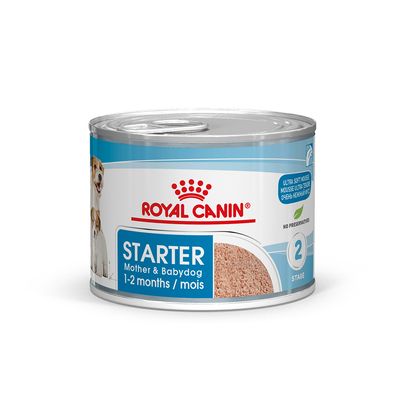 Royal Canin Starter Mousse Mother & Babydog - Handla på Gaston