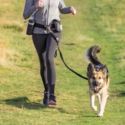 Trixie HandsFreebälte Med Expander - Handla på Gaston