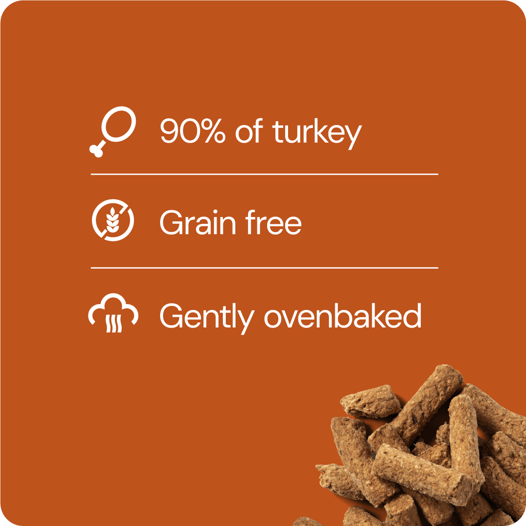 RAUH! Godis Turkey Treat - Handla på Gaston