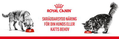 Royal Canin - Gaston
