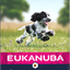 Eukanuba Dog Puppy Medium