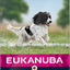 Eukanuba Dog Adult Medium