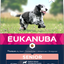 Eukanuba Dog Senior Medium