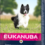 Eukanuba Dog Adult Small / Medium Lamb & Rice