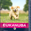 Eukanuba Dog Puppy Large Lamb & Rice