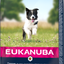 Eukanuba Dog Puppy Small / Medium Lamb & Rice