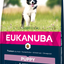 Eukanuba Dog Puppy Small / Medium Lamb & Rice