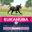 Eukanuba Dog Puppy Large