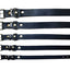 PetNation Hundhalsband Råläder