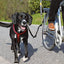 Trixie Biker - set L - form - Handla på Gaston