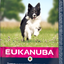 Eukanuba Dog Senior Small / Medium Lamb & Rice