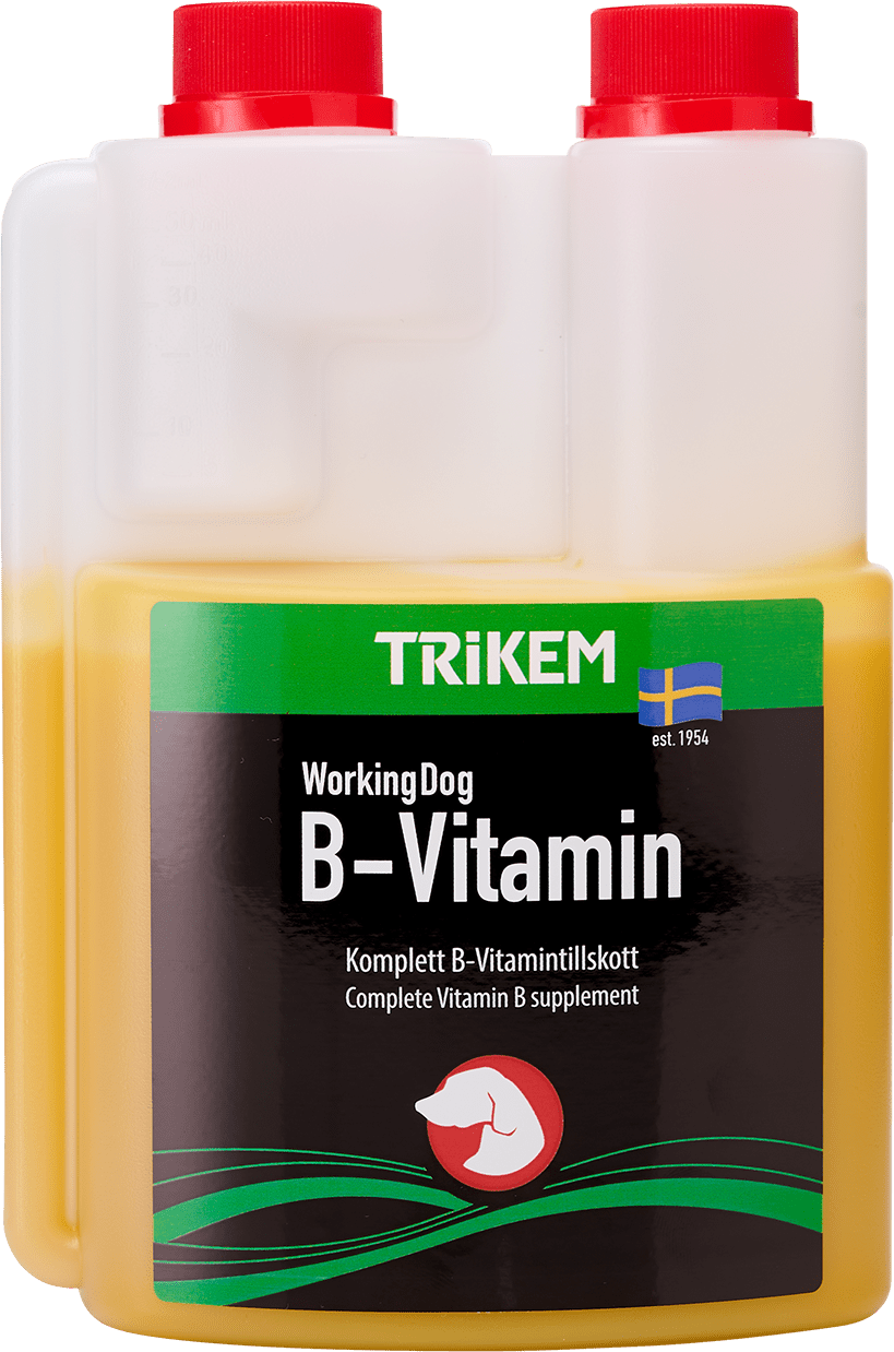 Trikem Max B - Vitamin Hund - Handla på Gaston