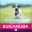 Eukanuba Dog Grain Free Puppy & Junior Large Ocean Fish