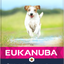 Eukanuba Dog Grain Free Adult Small/ Medium Ocean Fish