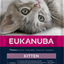 Eukanuba Cat Kitten