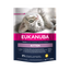 Eukanuba Cat Kitten