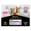 PURINA® PRO PLAN® Kitten Healthy Start