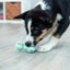 TRIXIE Junior Apport