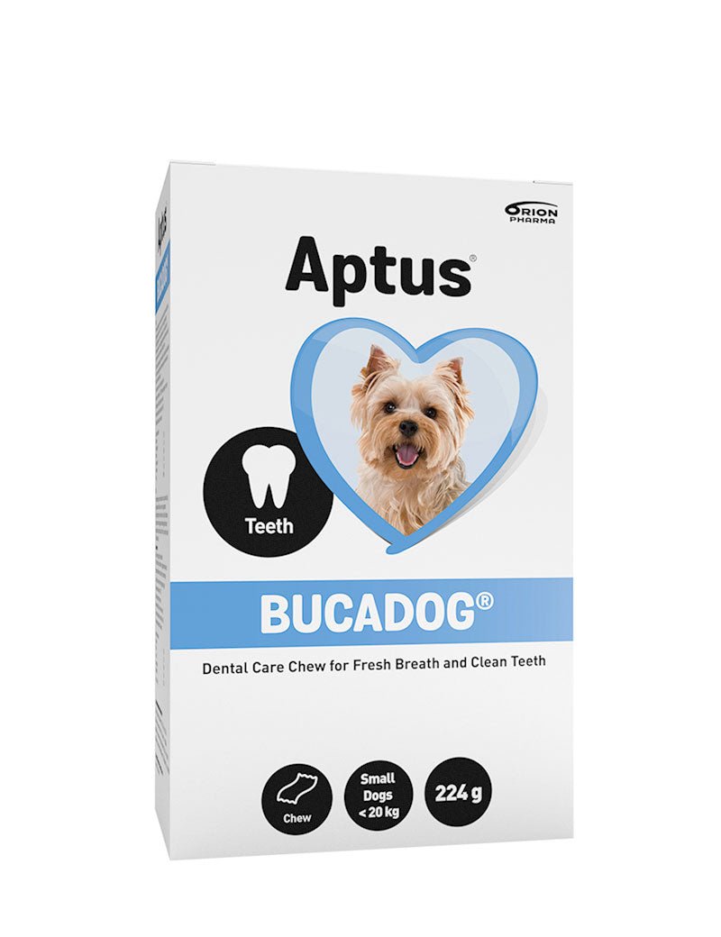 Aptus Bucadog Tuggbitar Small - Handla på Gaston