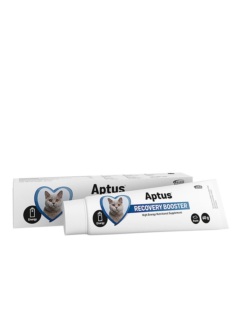 Aptus Recovery Booster Cat - Handla på Gaston