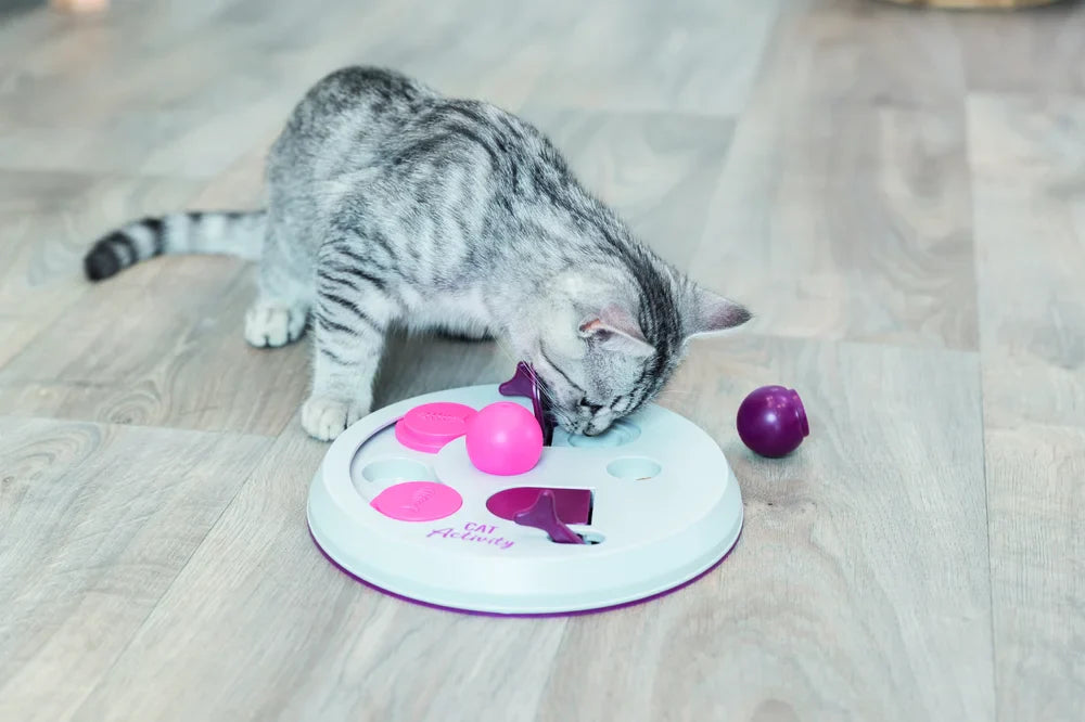 Cat Activity Flip Board
