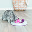 Cat Activity Flip Board