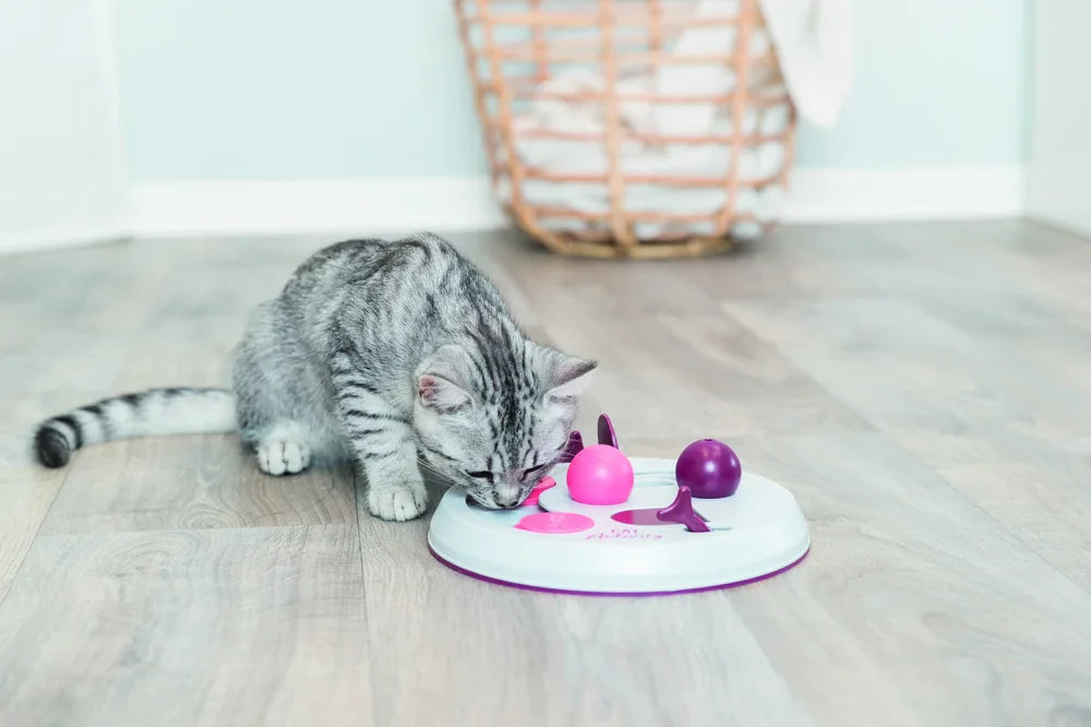 Cat Activity Flip Board