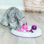 Cat Activity Flip Board