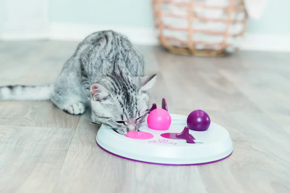 Cat Activity Flip Board
