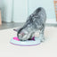 Cat Activity Flip Board